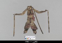 藏品(中國湖北皮影戲偶身)的圖片